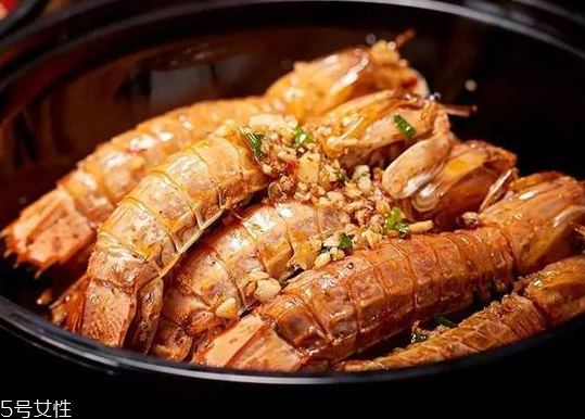 皮皮蝦能長多大？皮皮蝦最大有多大？