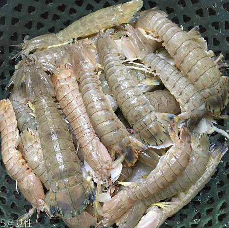 皮皮蝦能和櫻桃一起吃嗎？皮皮蝦和櫻桃可以同吃嗎？