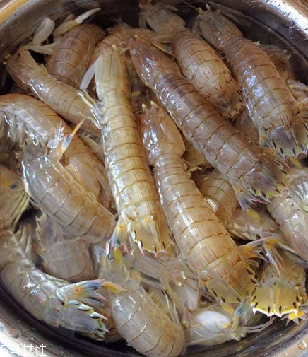 皮皮蝦能和荔枝一起吃嗎？皮皮蝦可以和荔枝同吃嗎？