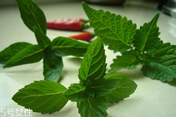 藿香和頭孢能一起吃嗎？藿香和頭孢能一起吃嗎？