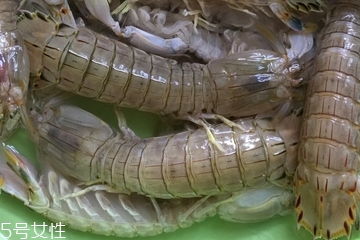 皮皮蝦皮能不能吃？皮皮蝦可以連皮吃嗎？