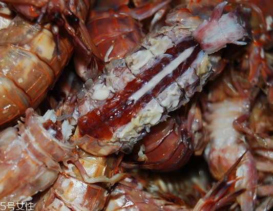 皮皮蝦分公母嗎？皮皮蝦怎么分公母？