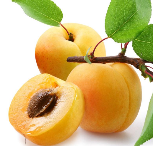 梅花能和雞蛋一起吃嗎？梅花不能和什么一起吃