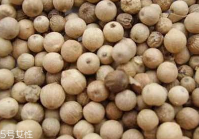 白胡椒是什么？白胡椒是白色的？