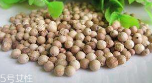 白胡椒能代替黑胡椒嗎？白胡椒的營養(yǎng)價值