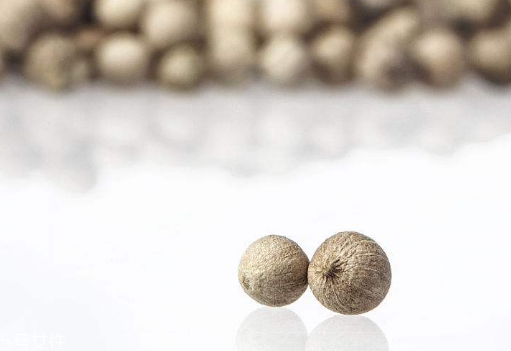 白胡椒的種植 白胡椒怎么種植？