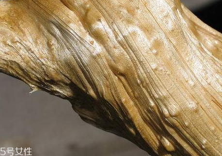 姜糖的熱量 姜糖會讓人長胖嗎？