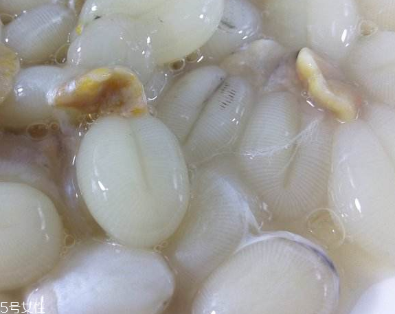 墨魚蛋的做法 墨魚蛋怎么做？