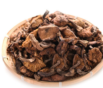 榛蘑和蘿卜相克嗎？榛蘑能不能和蘿卜一起吃？