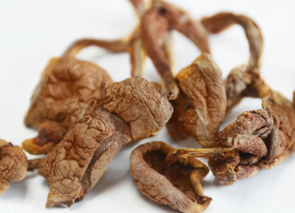 榛蘑和蘿卜相克嗎？榛蘑能不能和蘿卜一起吃？