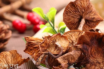 榛蘑和蘿卜相克嗎？榛蘑能不能和蘿卜一起吃？