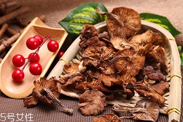 榛蘑的好處 榛蘑對(duì)人有什么益處？