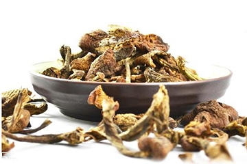 榛蘑能和土豆一起吃嗎？榛蘑和土豆一起吃的功效