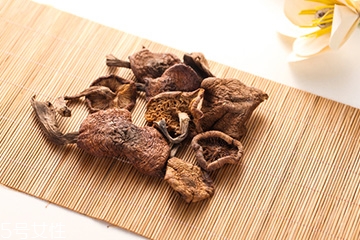 榛蘑是蘑菇嗎？榛蘑是什么蘑菇？