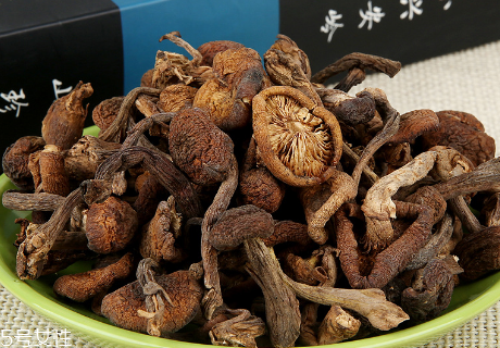 榛蘑的種植 榛蘑怎么培育？