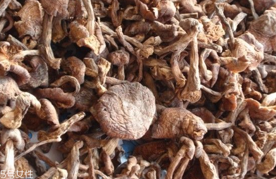 榛蘑和木耳的區(qū)別 榛蘑和木耳能一起吃嗎？