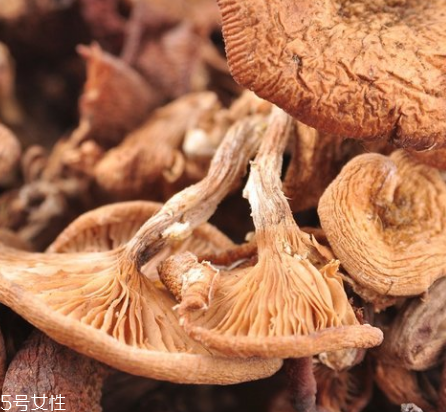 榛蘑和木耳的區(qū)別 榛蘑和木耳能一起吃嗎？