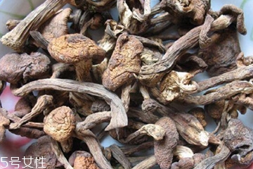 榛蘑和木耳的區(qū)別 榛蘑和木耳能一起吃嗎？