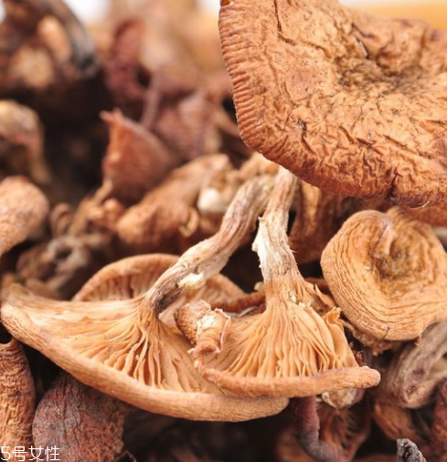 榛蘑有保質(zhì)期嗎？榛蘑的保質(zhì)期有多久？