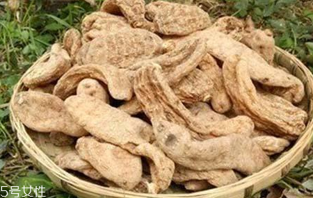 榛蘑和天麻的關(guān)系 榛蘑和天麻有什么聯(lián)系？