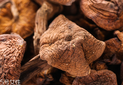 榛蘑多久能成熟？榛蘑的成熟期