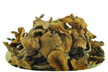 榛蘑怎么泡發(fā)？榛蘑怎么清洗？