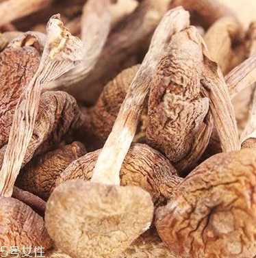 榛蘑怎么泡發(fā)？榛蘑怎么清洗？