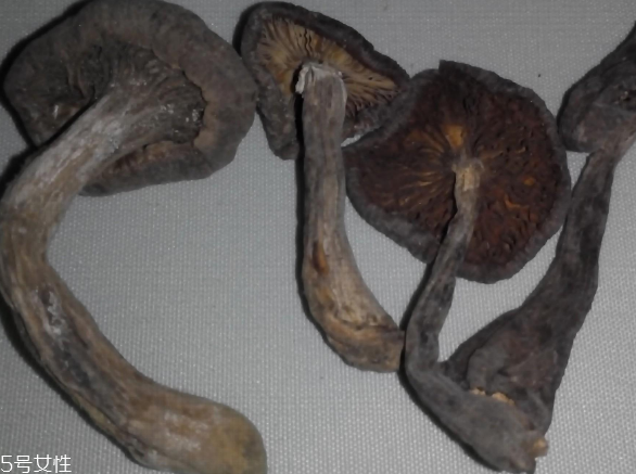 榛蘑怎么泡發(fā)？榛蘑怎么清洗？