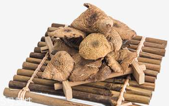 榛蘑能保存多久？干榛蘑怎么保存最好？