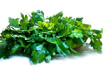 菊花腦和南瓜能一起吃嗎？菊花腦能和水果一起吃嗎？