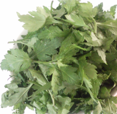 菊花腦怎么挑選？菊花腦選購技法