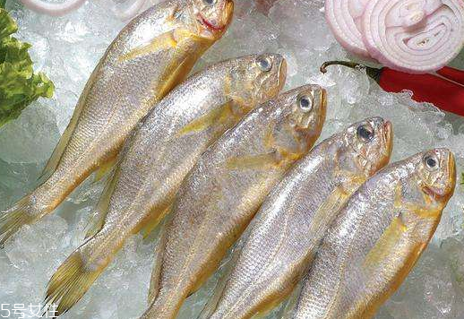 黃花魚是發(fā)物嗎？黃花魚是涼性的嗎？