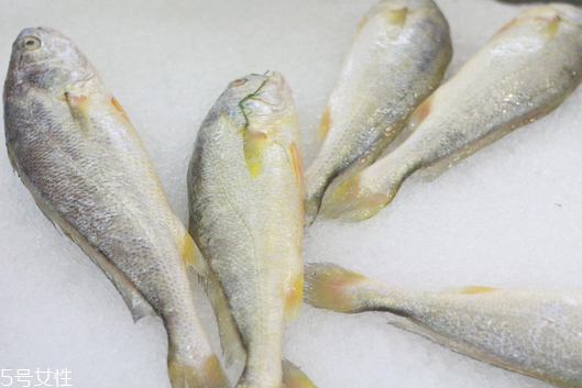 黃花魚清蒸多長時間？黃花魚清蒸的做法