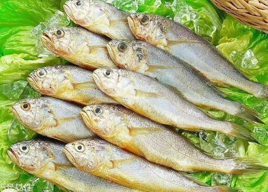 黃花魚去鱗嗎？黃花魚去內(nèi)臟嗎？