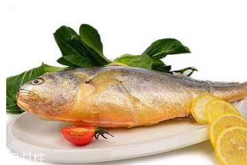 黃花魚為什么都是死的？死黃花魚可以吃嗎？