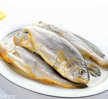 黃花魚為什么都是死的？死黃花魚可以吃嗎？