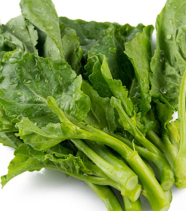 芥蘭的種植 芥蘭怎么種？