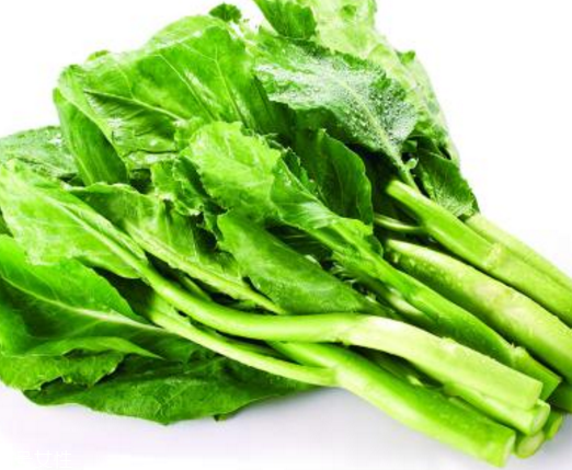 芥蘭是中藥還是蔬菜？芥蘭是蔬菜嗎？