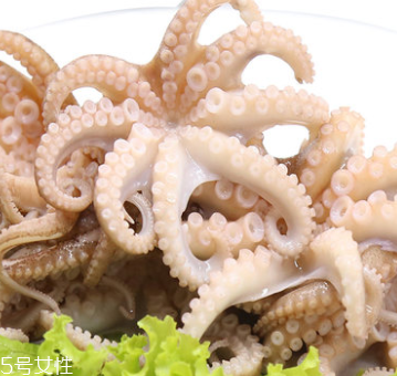 章魚是什么顏色？章魚是什么樣子？