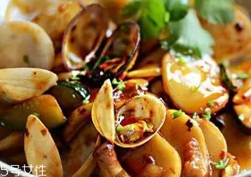 文蛤是什么？文蛤能生吃嗎