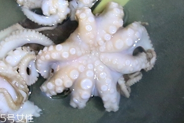 章魚會(huì)噴墨汁嗎？章魚的墨汁能吃嗎？