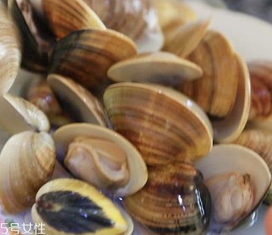 文蛤是海鮮還是河鮮？文蛤是海鮮嗎？