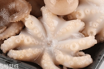 章魚可以炸嗎？章魚能油炸嗎？