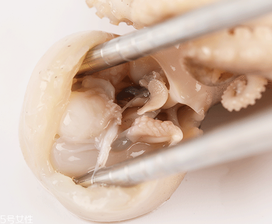 章魚可以炸嗎？章魚能油炸嗎？