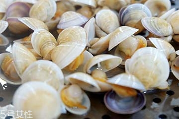 文蛤是淡水還是海水？文蛤是淡水水產(chǎn)嗎？