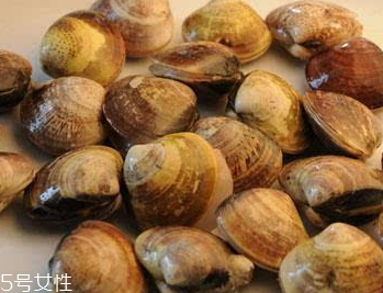 文蛤是冷水煮還是熱水？文蛤是用熱水嗎？