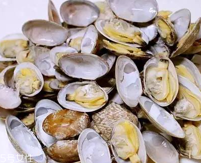 文蛤能做湯嗎？文蛤怎么做湯？