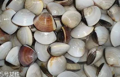 文蛤和花蛤的區(qū)別 文蛤和花蛤是同一種嗎？