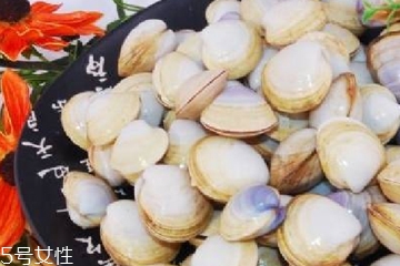 文蛤能放在冰箱里嗎?文蛤怎么保存？