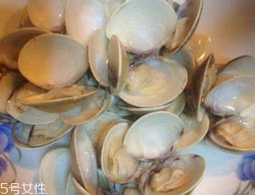 文蛤能給孕婦吃嗎？孕婦能不能吃文蛤？